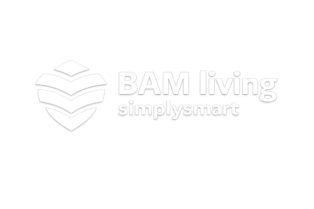 BAM Group